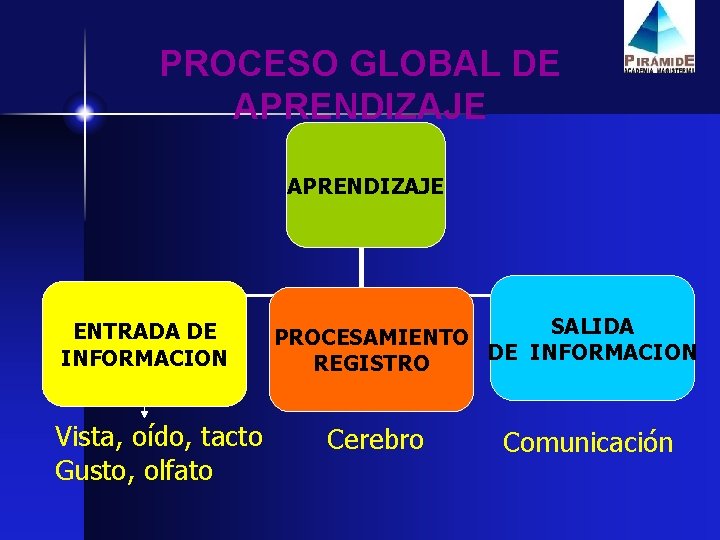 PROCESO GLOBAL DE APRENDIZAJE ENTRADA DE INFORMACION Vista, oído, tacto Gusto, olfato SALIDA PROCESAMIENTO