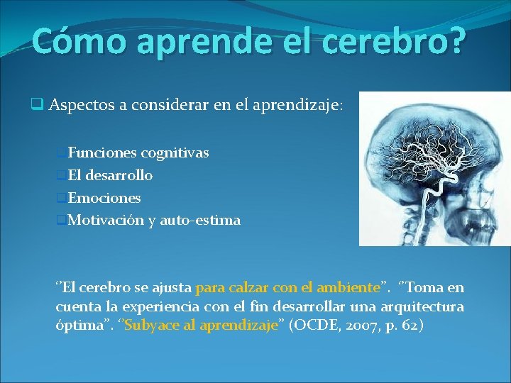 Cómo aprende el cerebro? q Aspectos a considerar en el aprendizaje: q. Funciones cognitivas