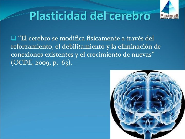 Plasticidad del cerebro q ‘’El cerebro se modifica físicamente a través del reforzamiento, el