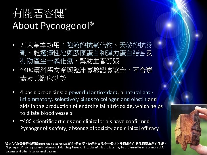 有關碧容健® About Pycnogenol® • 四大基本功用：強效的抗氧化物、天然的抗炎 劑、能選擇性地與膠原蛋白和彈力蛋白結合及 有助產生一氧化氮，幫助血管舒張 • ~400篇科學文章與臨床實驗證實安全、不含毒 素及具臨床功效 • 4 basic properties: