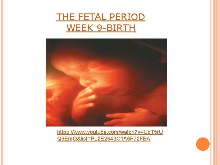 THE FETAL PERIOD WEEK 9 -BIRTH https: //www. youtube. com/watch? v=Ug. T 5 r.