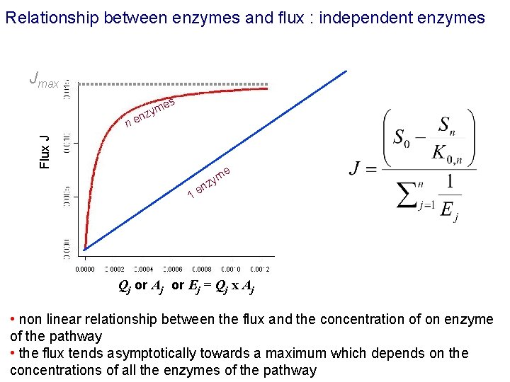 Relationship between enzymes and flux : independent enzymes Jmax m nzy es Flux J