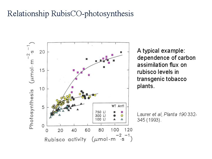 Relationship Rubis. CO-photosynthesis A typical example: dependence of carbon assimilation flux on rubisco levels