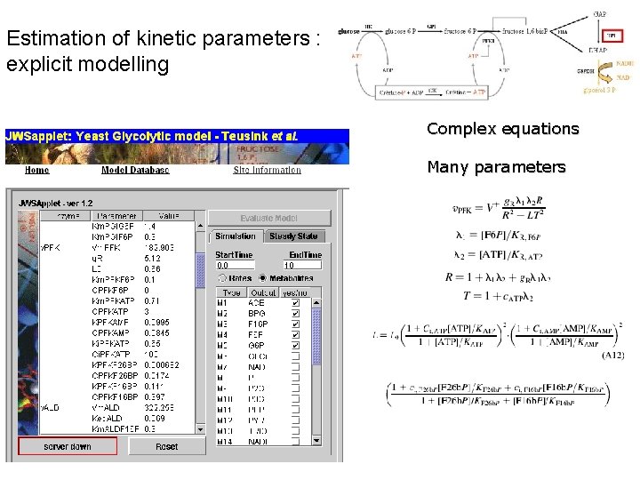Estimation of kinetic parameters : explicit modelling Complex equations Many parameters 
