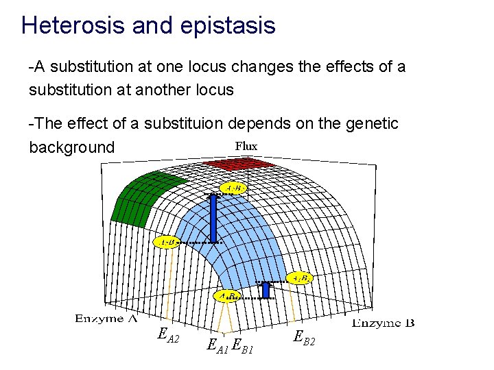 Heterosis and epistasis -A substitution at one locus changes the effects of a substitution