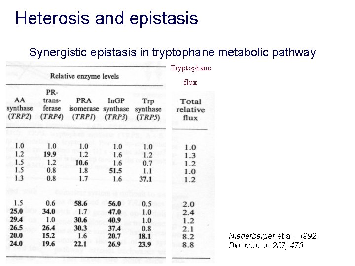 Heterosis and epistasis Synergistic epistasis in tryptophane metabolic pathway Tryptophane flux Niederberger et al.