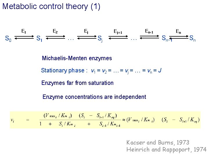 Metabolic control theory (1) E 1 S 0 E 2 S 1 … Ej