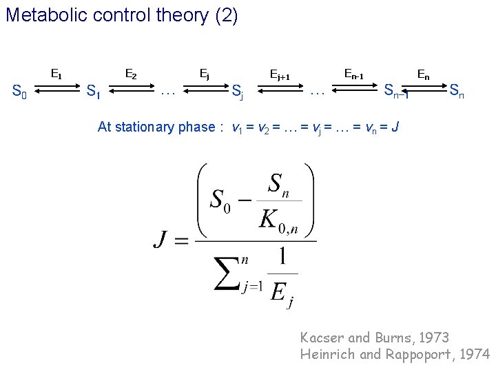 Metabolic control theory (2) E 1 S 0 E 2 S 1 … Ej