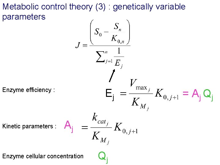 Metabolic control theory (3) : genetically variable parameters Enzyme efficiency : Kinetic parameters :
