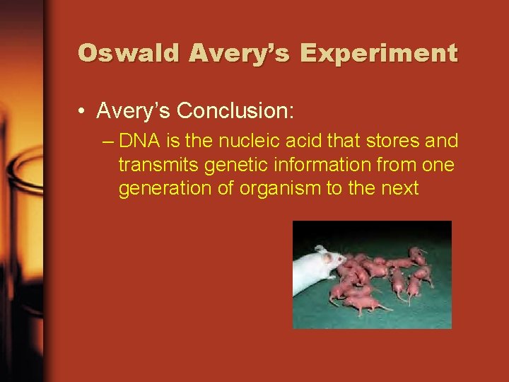 Oswald Avery’s Experiment • Avery’s Conclusion: – DNA is the nucleic acid that stores