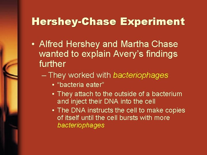 Hershey-Chase Experiment • Alfred Hershey and Martha Chase wanted to explain Avery’s findings further