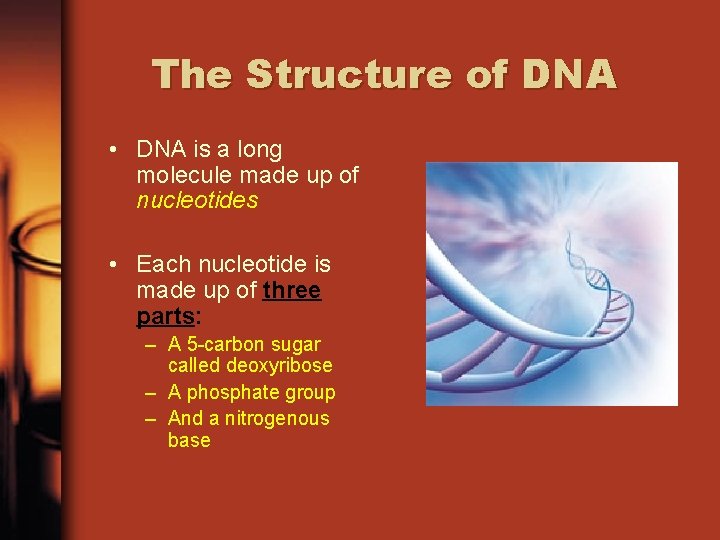 The Structure of DNA • DNA is a long molecule made up of nucleotides