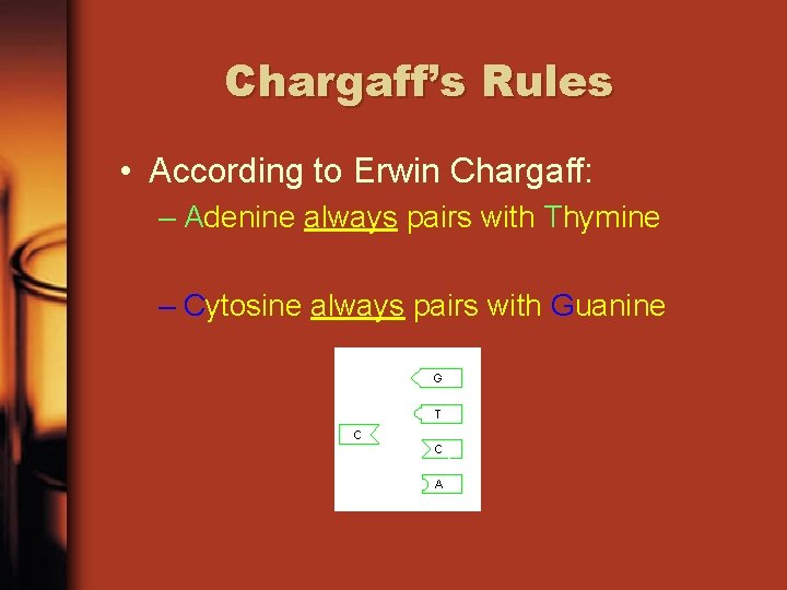 Chargaff’s Rules • According to Erwin Chargaff: – Adenine always pairs with Thymine –