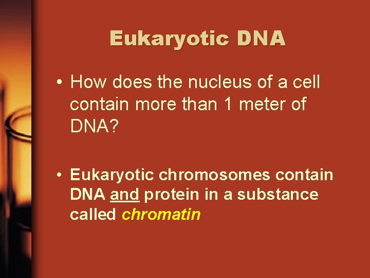 Eukaryotic DNA • How does the nucleus of a cell contain more than 1