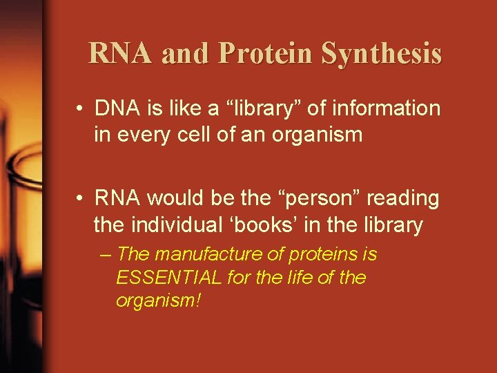 RNA and Protein Synthesis • DNA is like a “library” of information in every