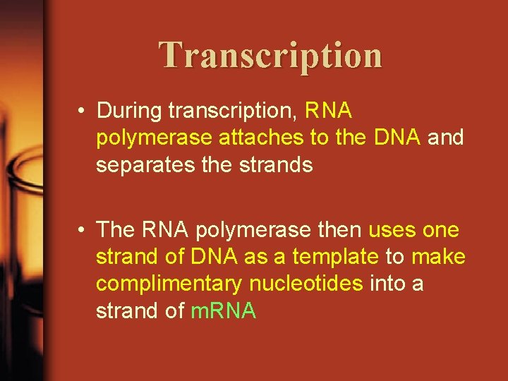 Transcription • During transcription, RNA polymerase attaches to the DNA and separates the strands