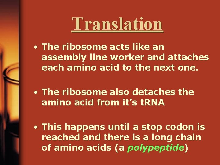 Translation • The ribosome acts like an assembly line worker and attaches each amino
