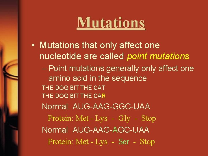 Mutations • Mutations that only affect one nucleotide are called point mutations – Point