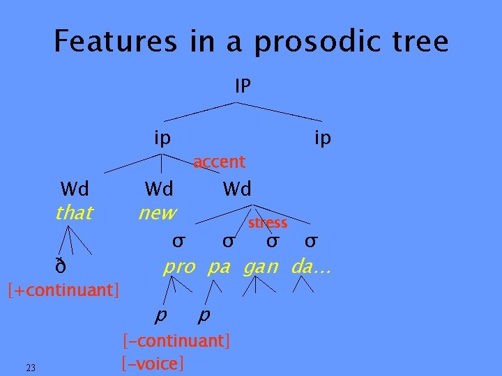 Features in a prosodic tree IP wp ip ip accent egi Wd Wd Wd