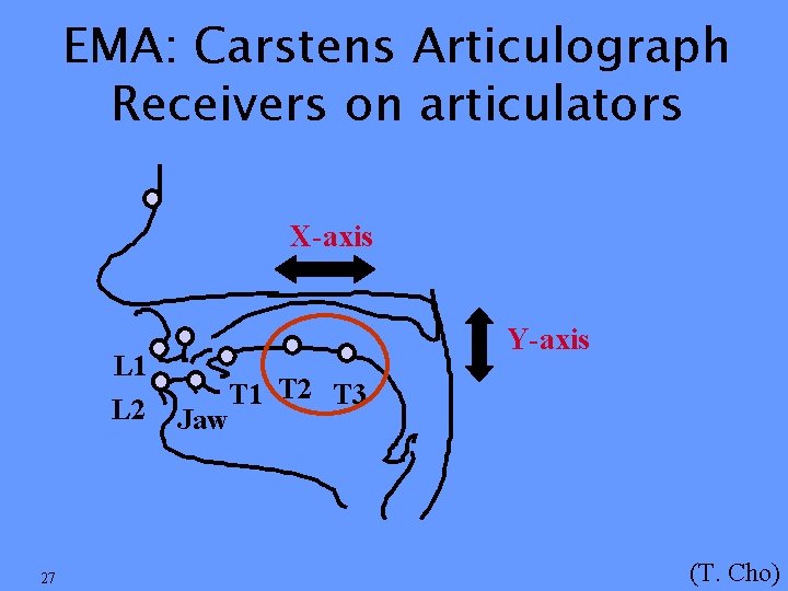 EMA: Carstens Articulograph Receivers on articulators X-axis Y-axis L 1 L 2 27 Jaw