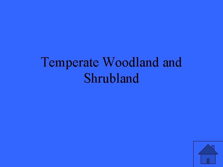 Temperate Woodland Shrubland 