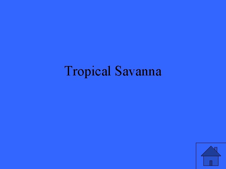 Tropical Savanna 