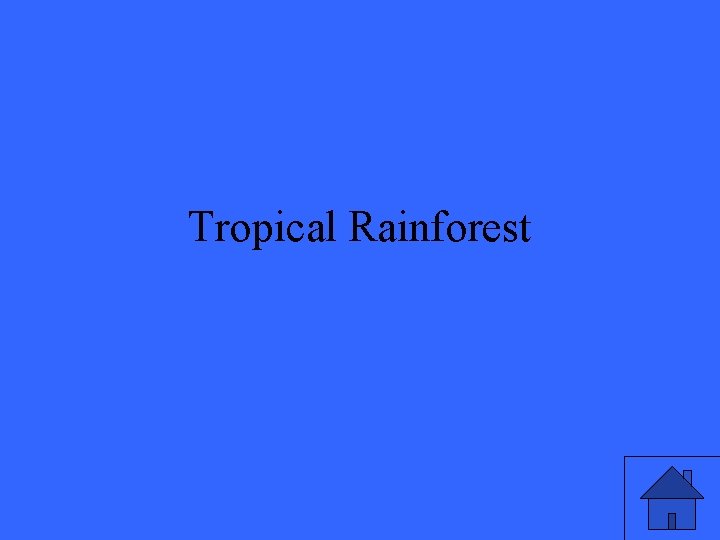 Tropical Rainforest 