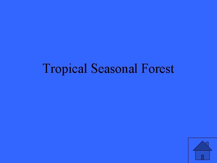 Tropical Seasonal Forest 