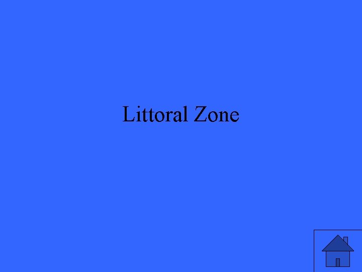 Littoral Zone 