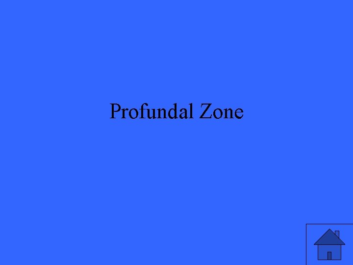 Profundal Zone 