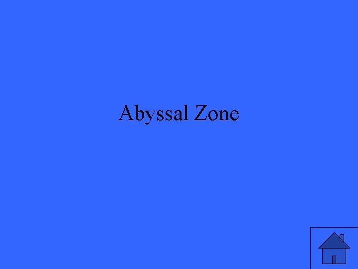 Abyssal Zone 