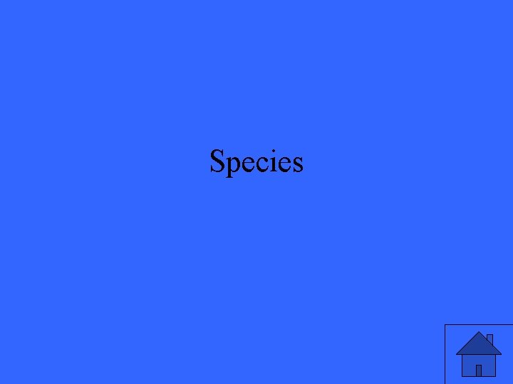 Species 