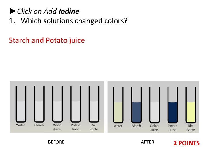 ►Click on Add Iodine 1. Which solutions changed colors? Starch and Potato juice BEFORE