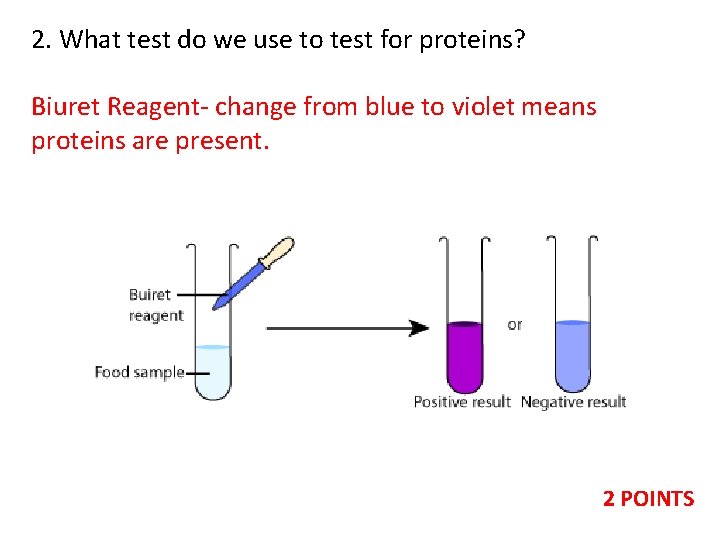 2. What test do we use to test for proteins? Biuret Reagent- change from