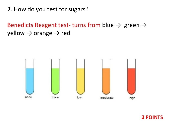 2. How do you test for sugars? Benedicts Reagent test- turns from blue →