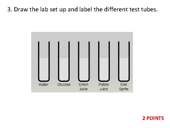 3. Draw the lab set up and label the different test tubes. 2 POINTS