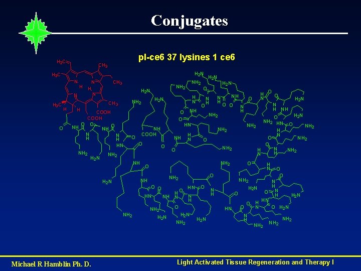 Conjugates H 2 C pl-ce 6 37 lysines 1 ce 6 CH 3 H