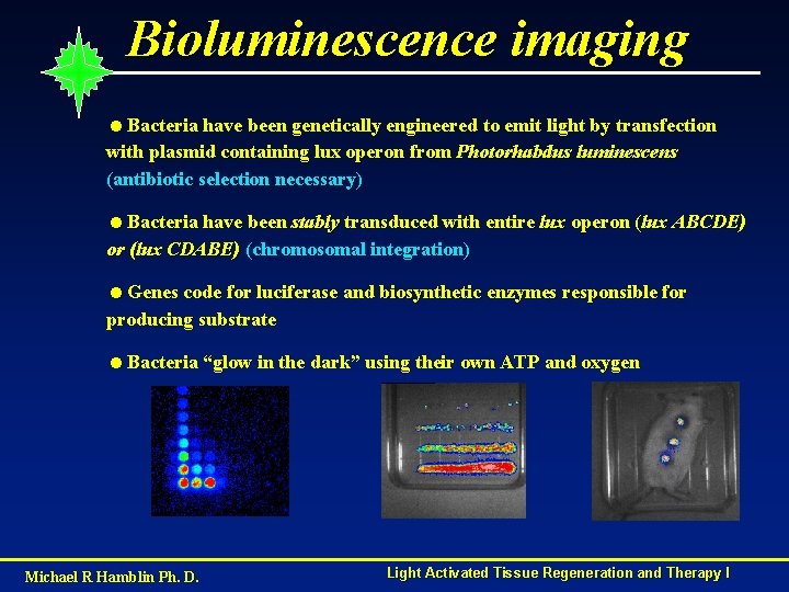 Bioluminescence imaging =Bacteria have been genetically engineered to emit light by transfection with plasmid