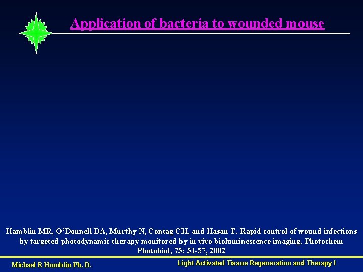 Application of bacteria to wounded mouse Hamblin MR, O’Donnell DA, Murthy N, Contag CH,