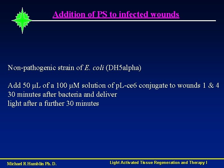 Addition of PS to infected wounds Non-pathogenic strain of E. coli (DH 5 alpha)