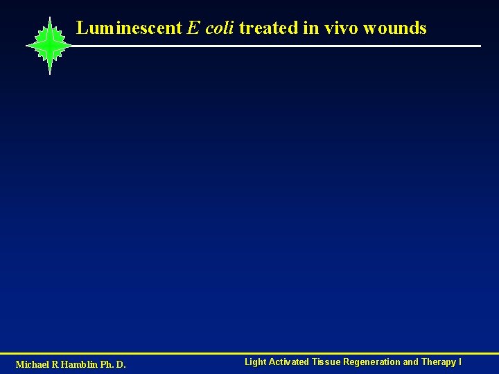 Luminescent E coli treated in vivo wounds Michael R Hamblin Ph. D. Light Activated