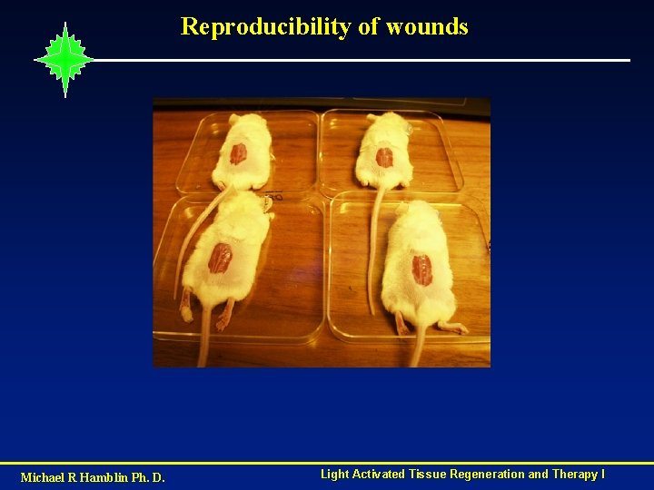 Reproducibility of wounds Michael R Hamblin Ph. D. Light Activated Tissue Regeneration and Therapy