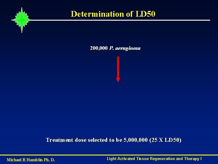 Determination of LD 50 200, 000 P. aeruginosa Treatment dose selected to be 5,