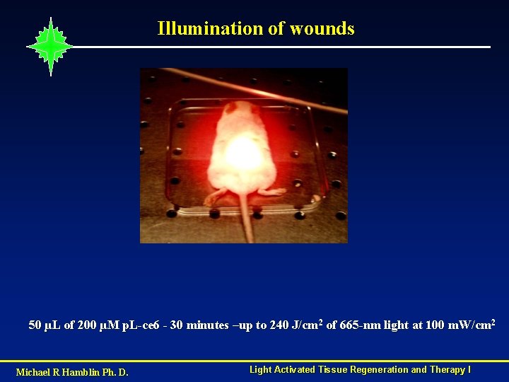 Illumination of wounds 50 µL of 200 µM p. L-ce 6 - 30 minutes