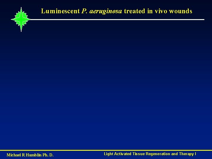 Luminescent P. aeruginosa treated in vivo wounds Michael R Hamblin Ph. D. Light Activated