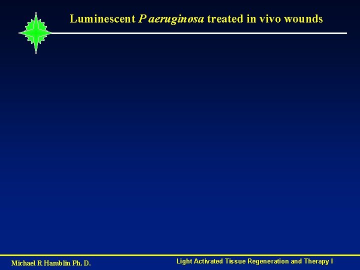 Luminescent P aeruginosa treated in vivo wounds Michael R Hamblin Ph. D. Light Activated