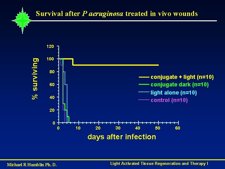 Survival after P aeruginosa treated in vivo wounds % surviving 120 100 80 conjugate