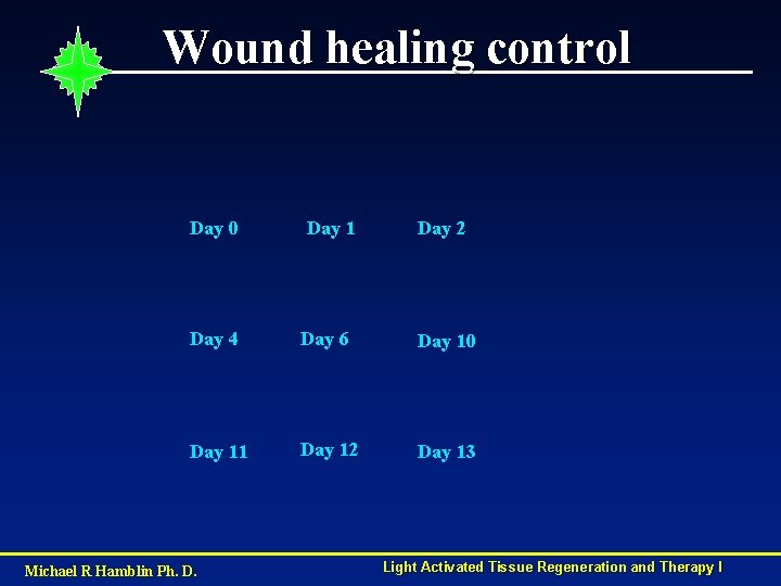 Wound healing control Day 0 Day 1 Day 2 Day 4 Day 6 Day