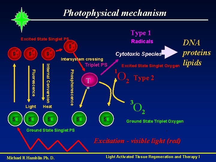 Photophysical mechanism Type 1 Excited State Singlet PS Radicals S* S* Cytotoxic Species Intersystem