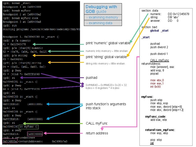 Debugging with GDB guide - examining memory - examining data print ‘numeric’ global variable